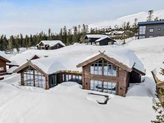 Norwegian cottages